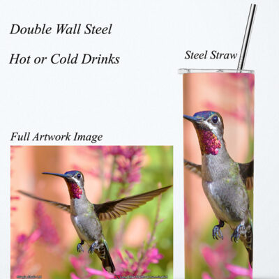 Steel Tumbler 20oz ( Hummingbird ) Long billed Starthroat