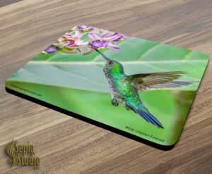 Mousepad ( Hummingbird ) White Chested Emerald