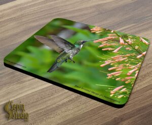 Mousepad ( Hummingbird ) Black Throated Mango Female