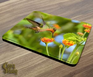 Mousepad ( Hummingbird ) Tufted Coquette Female