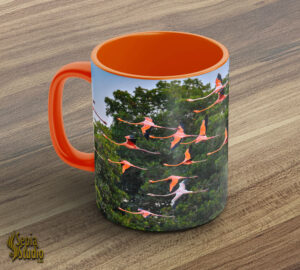 Ceramic Mug 11oz ( Wildlife ) Flamingos in Flight 2