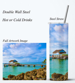 Steel Tumbler 20oz ( Tobago ) Pigeon Point