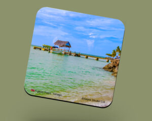 Corkback Coaster (Tobago) Pigeon Point