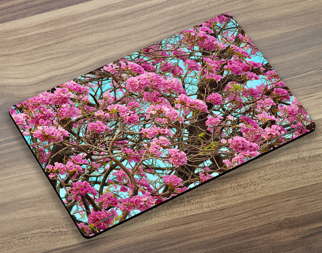 Placemat (Poui) Pink Poui