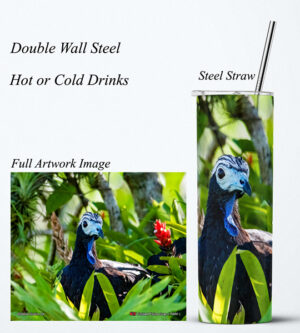 Steel Tumbler 20oz ( Bird ) Trinidad Piping Guan (PAWI)
