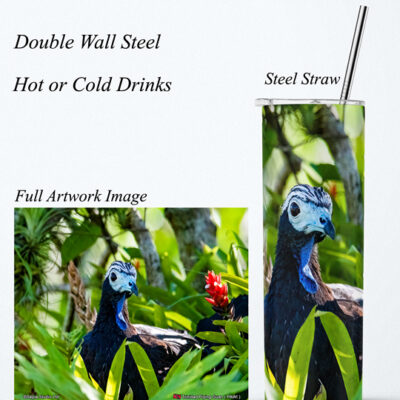 Steel Tumbler 20oz ( Bird ) Trinidad Piping Guan (PAWI)