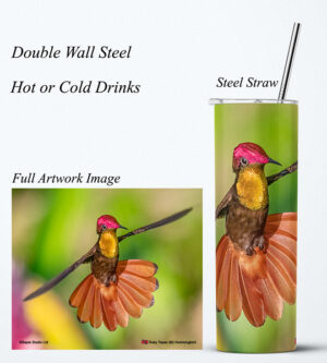 Steel Tumbler 20oz ( Hummingbird ) Ruby Topaz