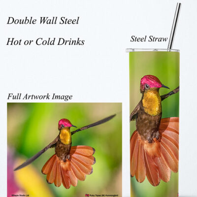 Steel Tumbler 20oz ( Hummingbird ) Ruby Topaz
