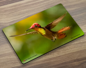 Placemat (Hummingbird) Ruby Topaz (M) 2