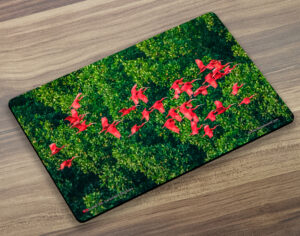 Placemat (BIrd) Scarlet Ibis in Flight