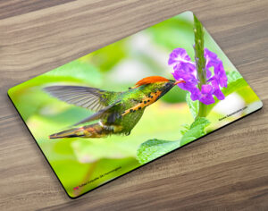 Placemat (Hummingbird) Tufted Coquette (M)