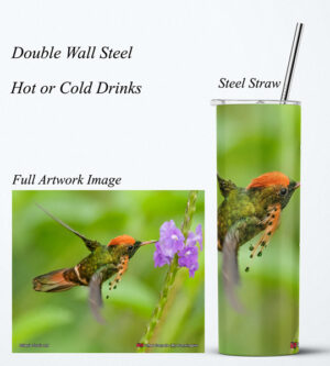 Steel Tumbler 20oz ( Hummingbird ) Tufted Coquette (M)