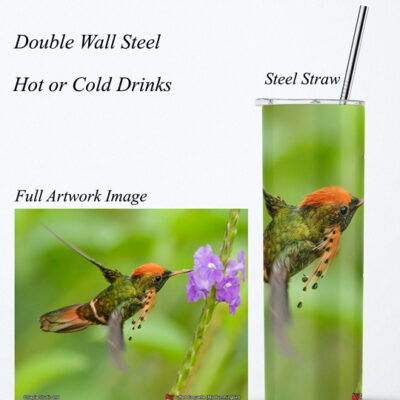 Steel Tumbler 20oz ( Hummingbird ) Tufted Coquette (M)