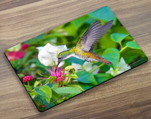 Placemat (Hummingbird) White Chested Emerald