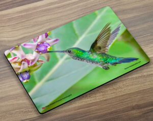 Placemat (Hummingbird) White Chested Emerald 2
