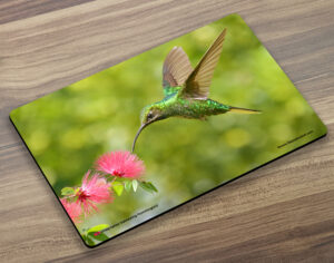 Placemat (Hummingbird) White Tailed Sabrewing