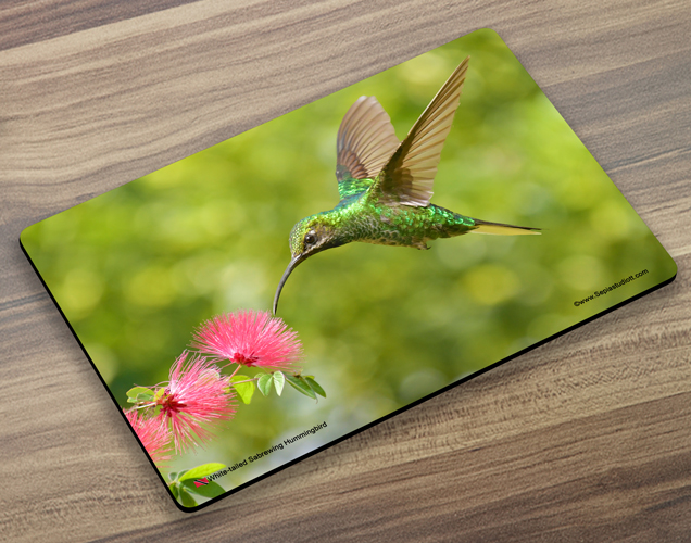 Placemat (Hummingbird) White Tailed Sabrewing