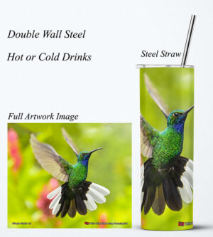 Steel Tumbler 20oz ( Hummingbird ) White Tailed Sabrewing