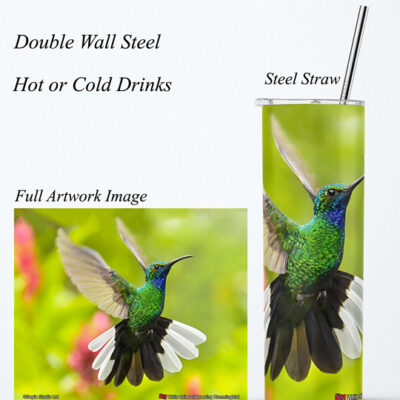 Steel Tumbler 20oz ( Hummingbird ) White Tailed Sabrewing