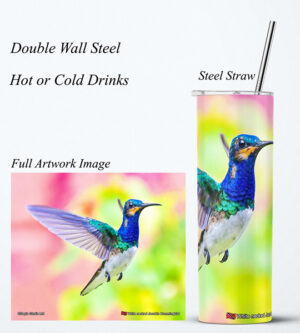 Steel Tumbler 20oz ( Hummingbird ) White necked Jacobin (M)