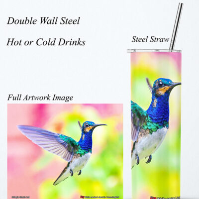 Steel Tumbler 20oz ( Hummingbird ) White necked Jacobin (M)