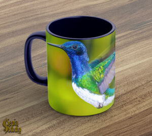 Ceramic Mug 11oz ( Hummingbird ) White Necked Jacobin Male