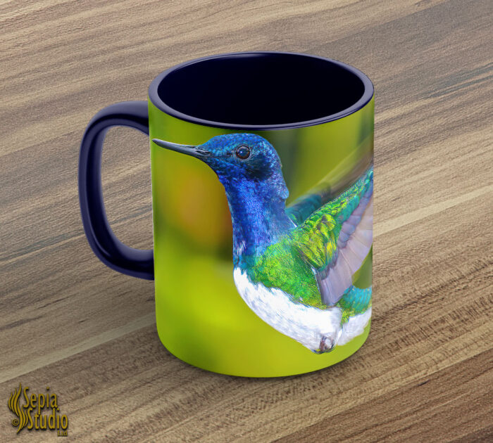 Ceramic Mug 11oz ( Hummingbird ) White Necked Jacobin Male
