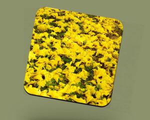 Corkback Coaster (Landscape) Yellow Poui