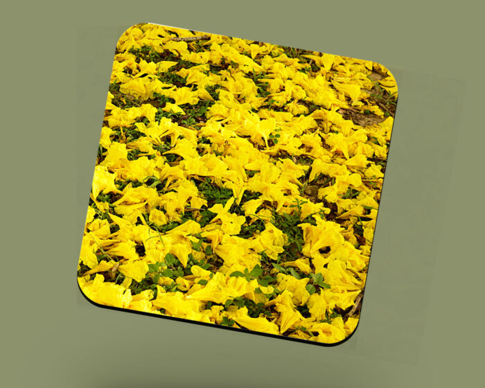 Corkback Coaster (Landscape) Yellow Poui