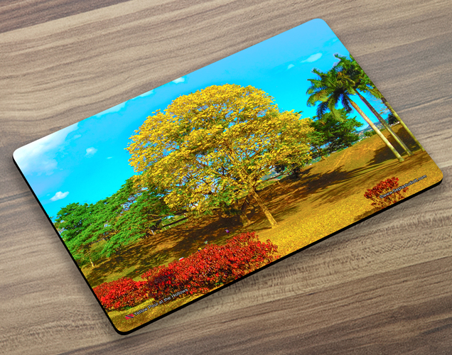 Placemat (Poui) Yellow Poui