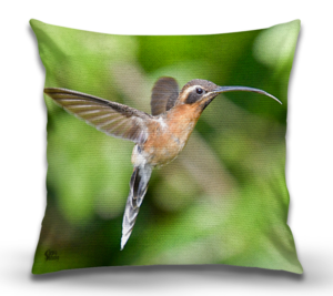 18" Cushion Covers