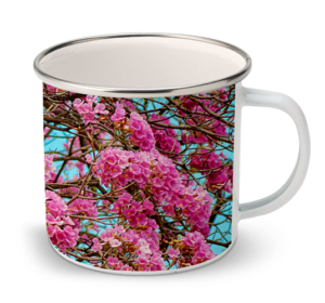 17oz Enamel Mugs