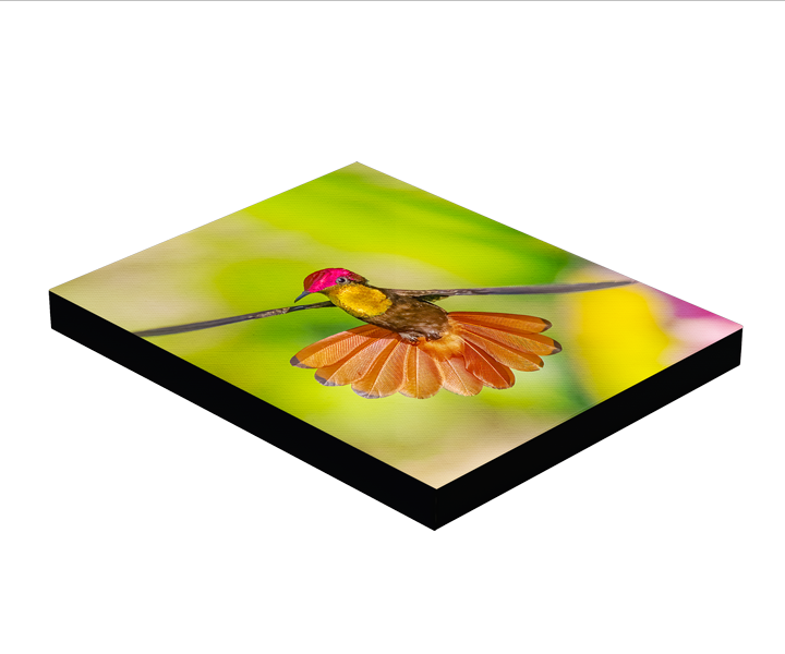 Hummingbird Photo Block Mount