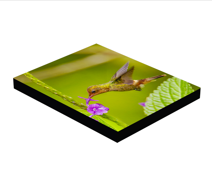 Hummingbird Photo Block Mount