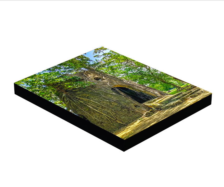 Landscape Photo Block Mount
