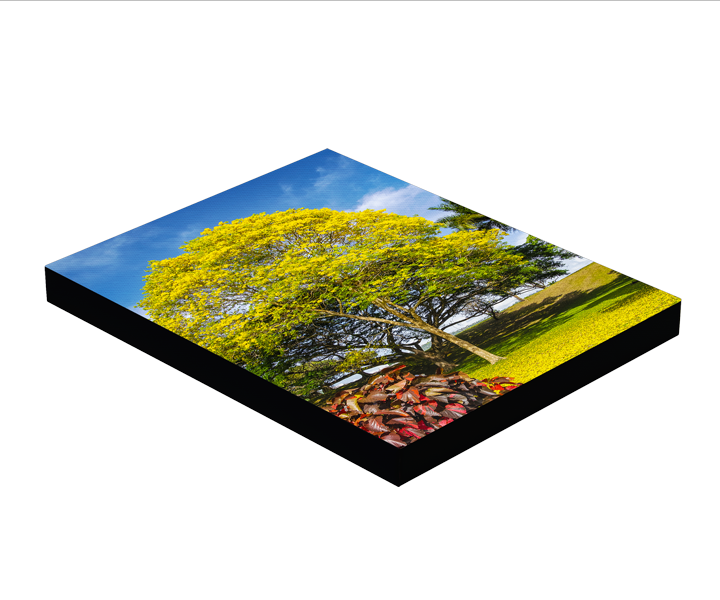 Landscape Photo Block Mount