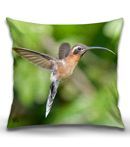 Cushion-Cover-Hummingbird