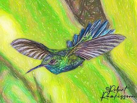 Digital-Art-Blue-Chinned-Sapphire