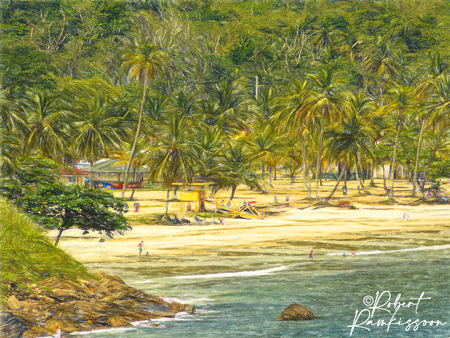 Digital-Art-Maracas