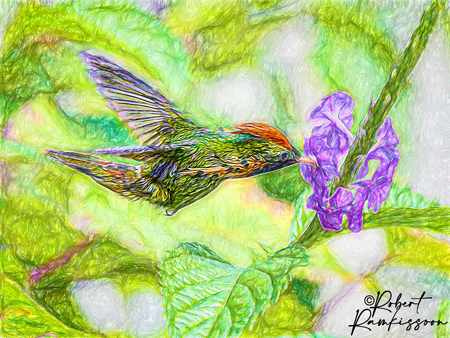 Digital-Art-Tufted-Coquette