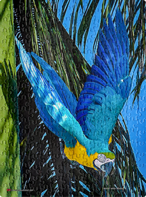 Jigsaw Puzzle Portrait (252pcs) Digital Art Blue & Yellow Macaw
