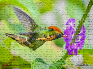 Jigsaw Puzzle (252pcs) Digital Art Tufted Coquette Hummingbird
