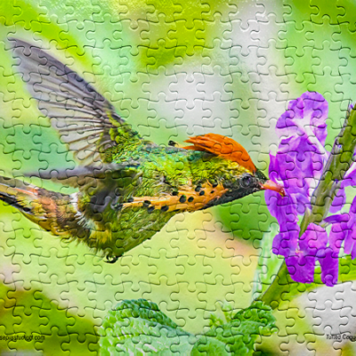Jigsaw Puzzle (252pcs) Digital Art Tufted Coquette Hummingbird