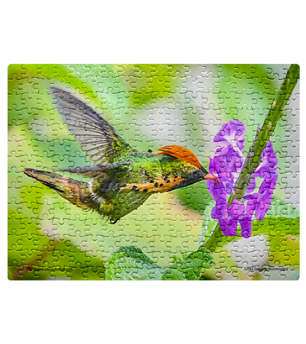 Jigsaw-Puzzle-Hummingbird