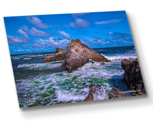 Aluminium Metal Print ( Seascape ) La Foret