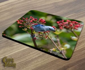 Mousepad Blue Tanager