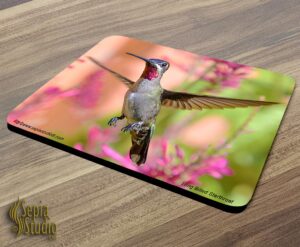 Mousepad ( Hummingbird ) Long Billed Starthroat