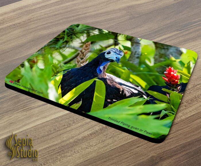Mousepad Trinidad Piping-guan ( PAWI )