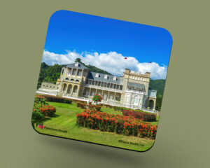 Corkback Coaster (Architechture) President's House