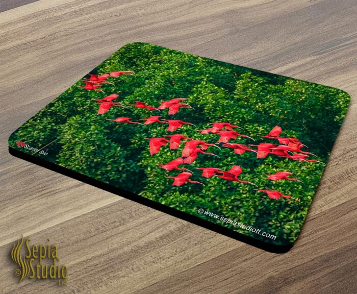 Mousepad Scarlet Ibis in Flight